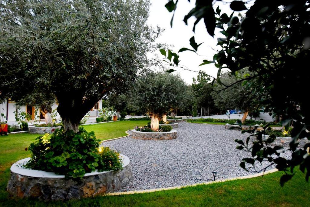 Venus Island Studios Λίνδος Εξωτερικό φωτογραφία